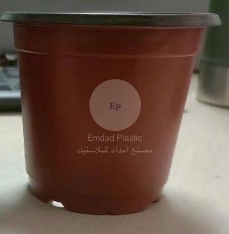 بني